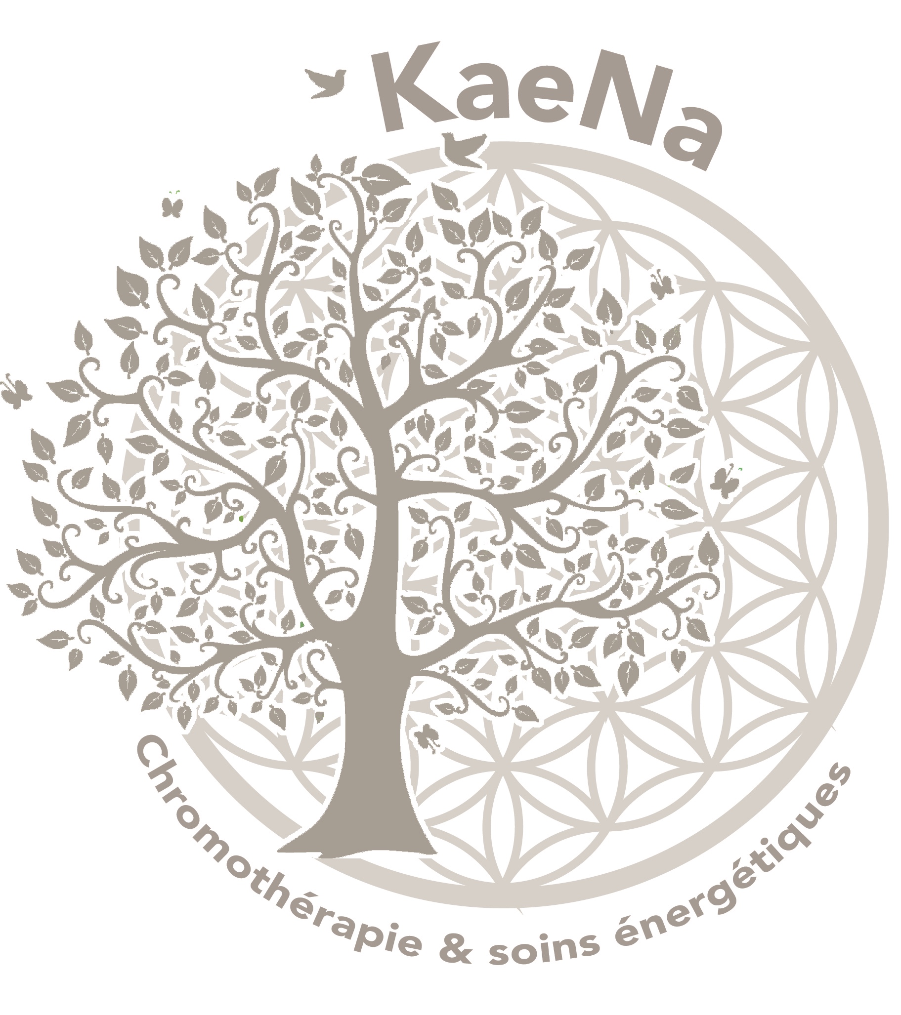 3logos_KaeNa